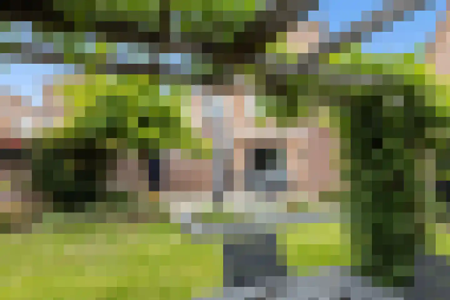 Priëel 17 Almelo thumbnail 38