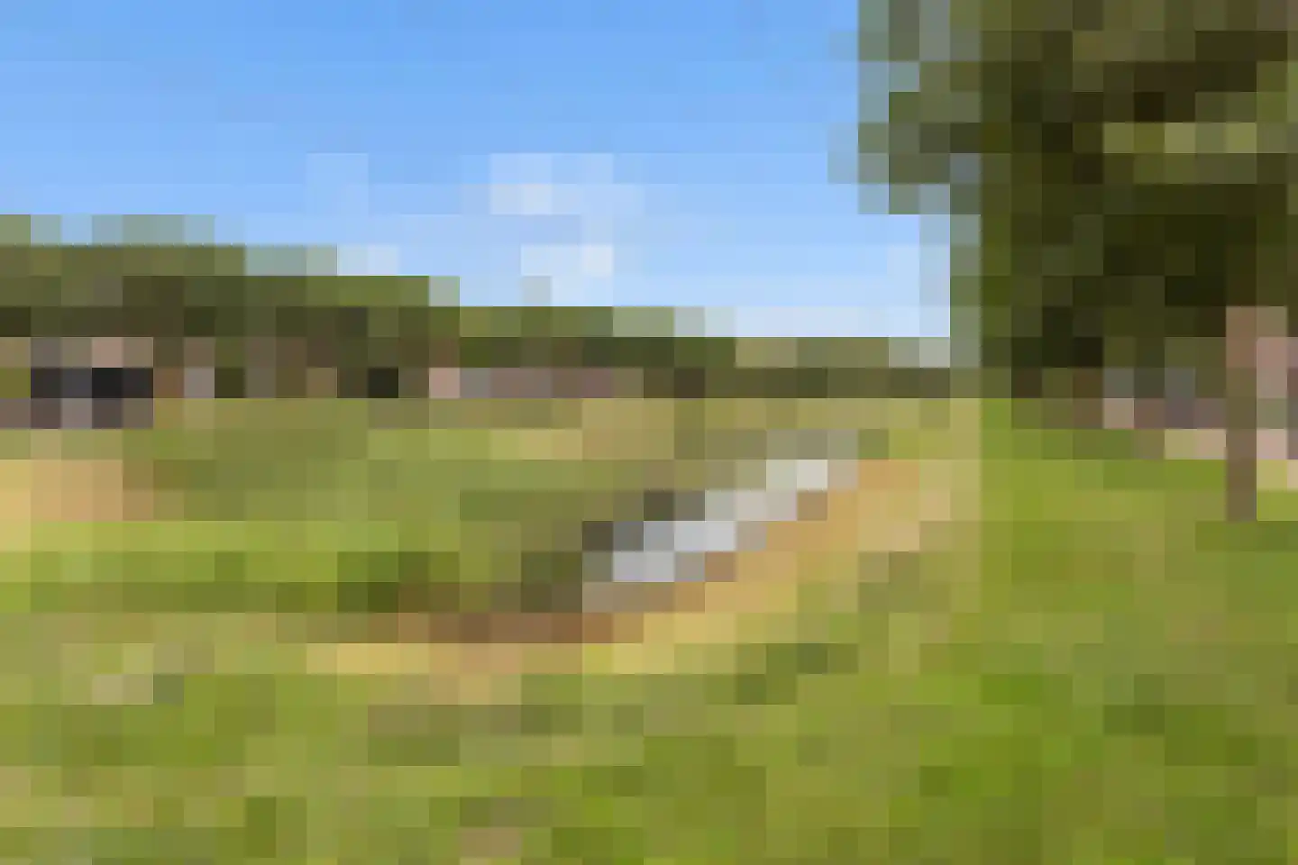 Priëel 17 Almelo thumbnail 44