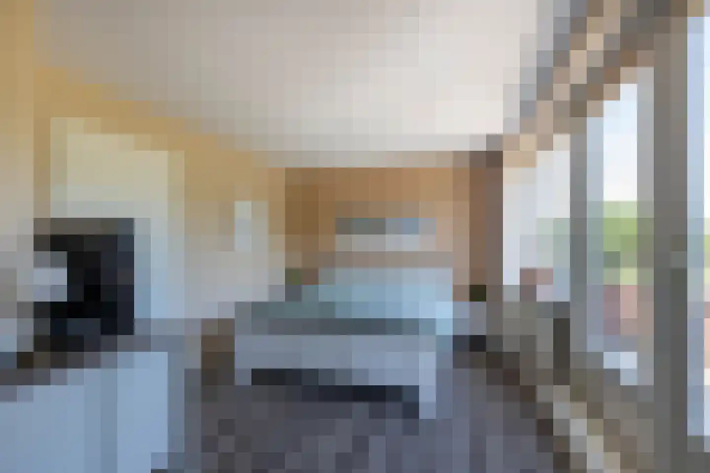 Priëel 19 Almelo thumbnail 16