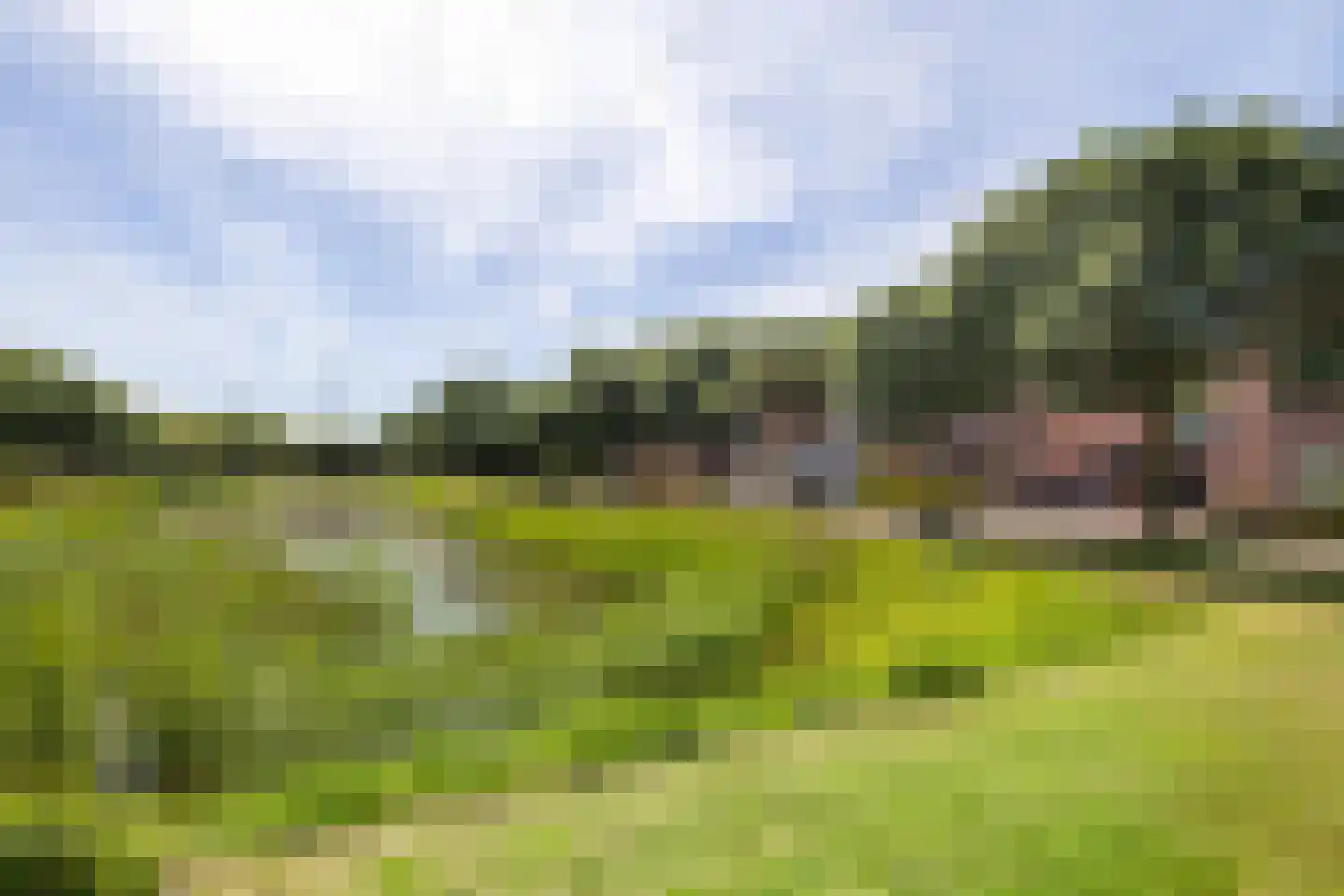 Priëel 19 Almelo thumbnail 32