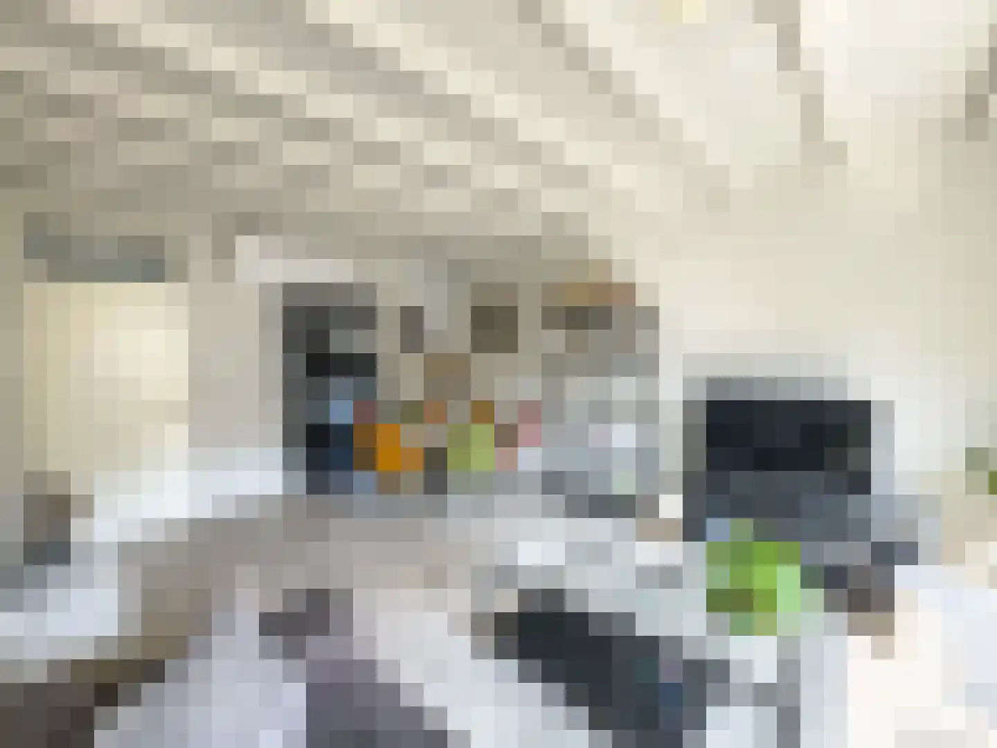 Prieelhof 11 Zundert thumbnail 11