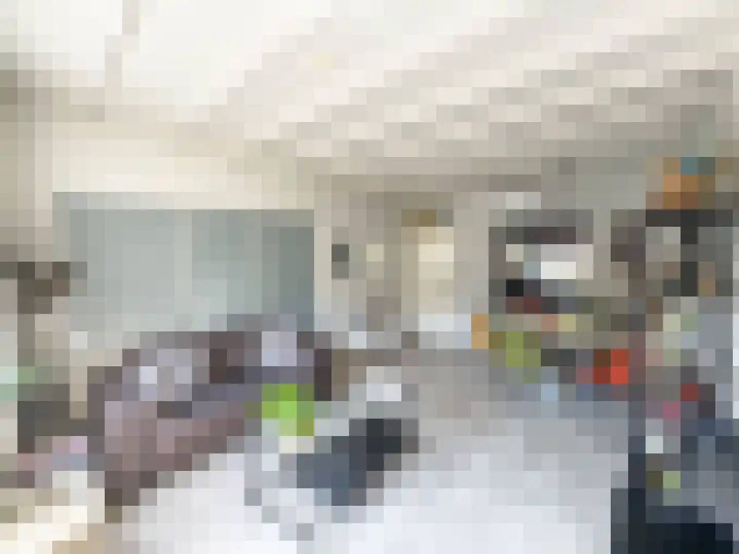 Prieelhof 11 Zundert thumbnail 12