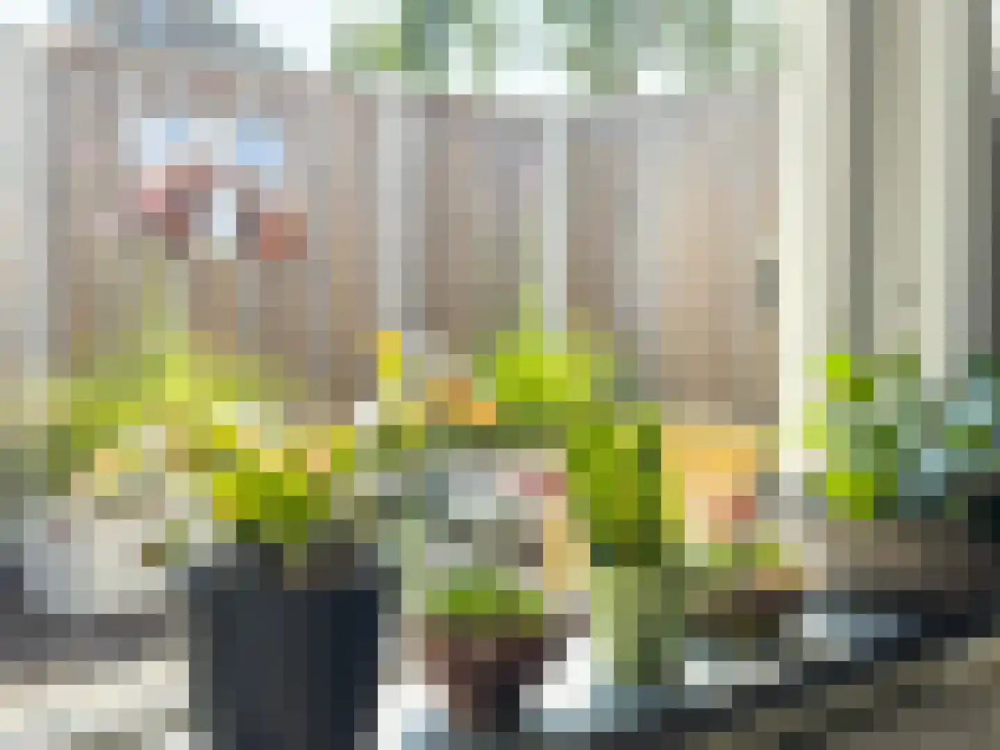 Prieelhof 11 Zundert thumbnail 15