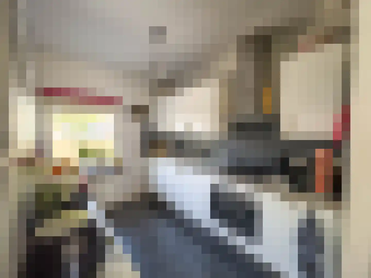 Prieelhof 11 Zundert thumbnail 16