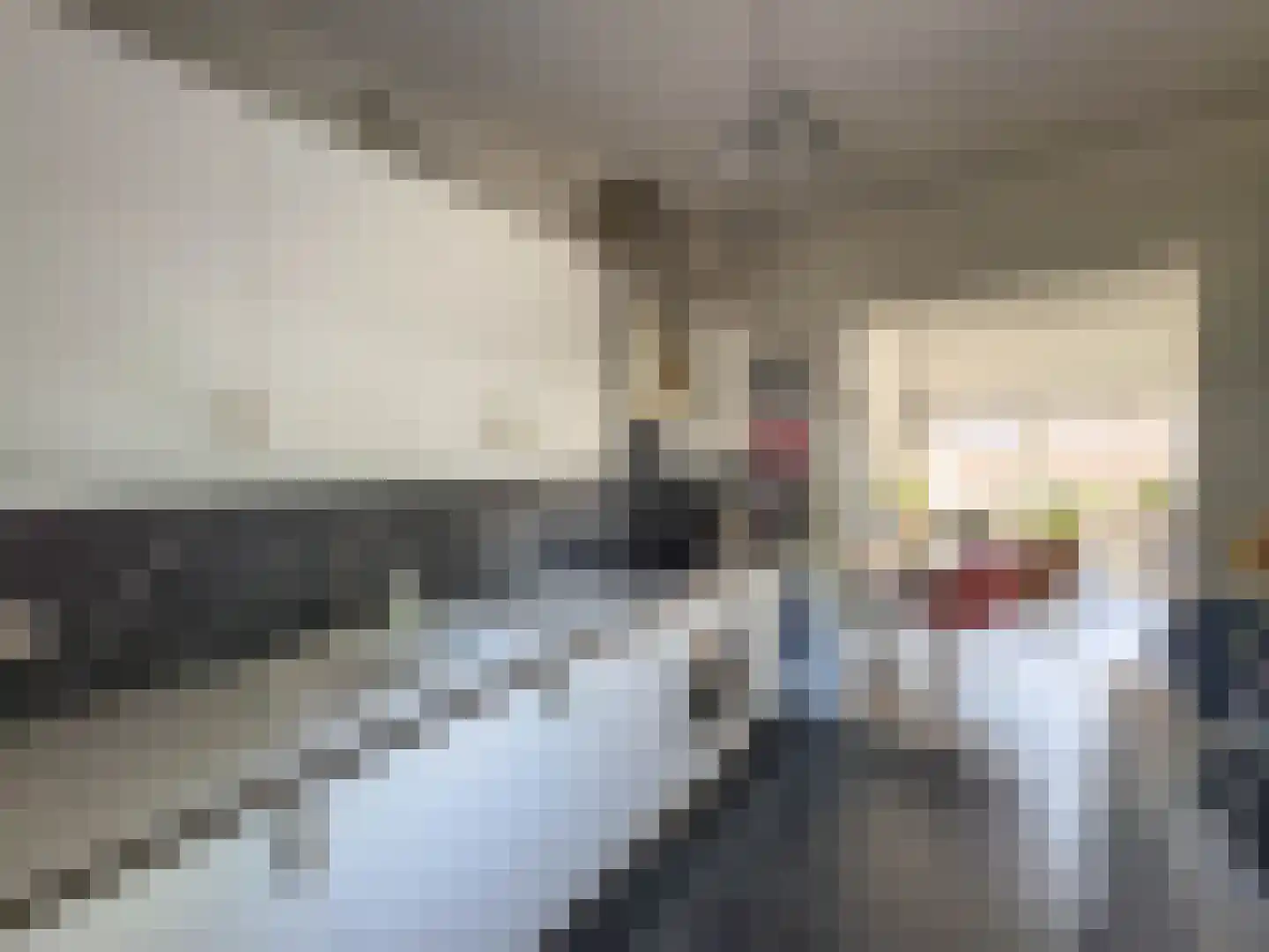 Prieelhof 11 Zundert thumbnail 17