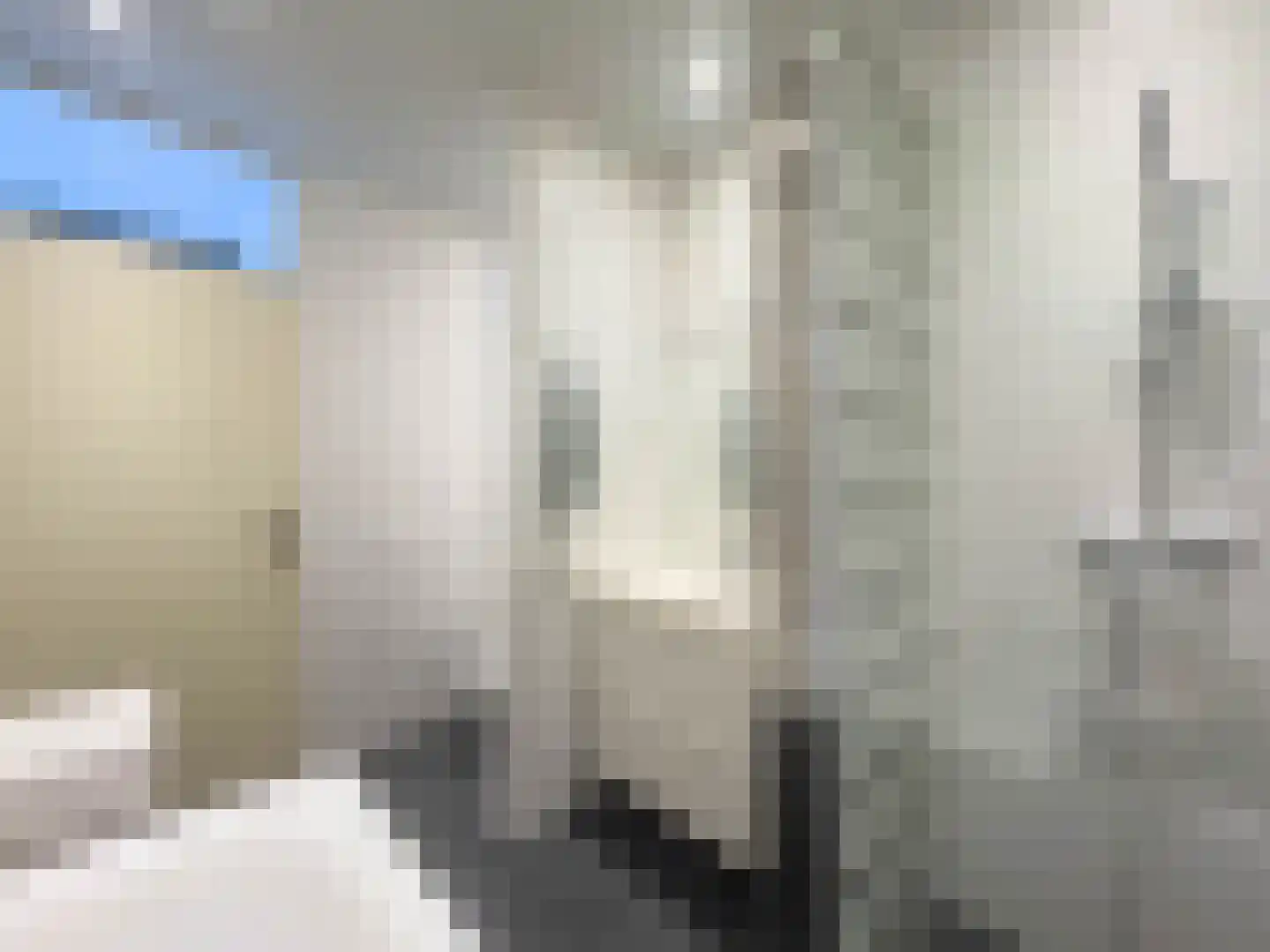 Prieelhof 11 Zundert thumbnail 23