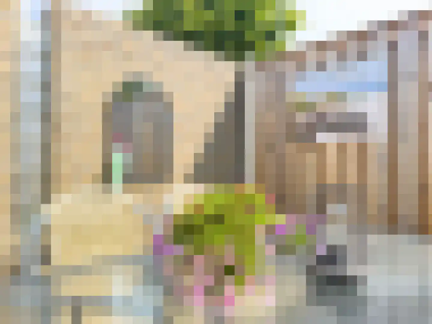 Prieelhof 11 Zundert thumbnail 26