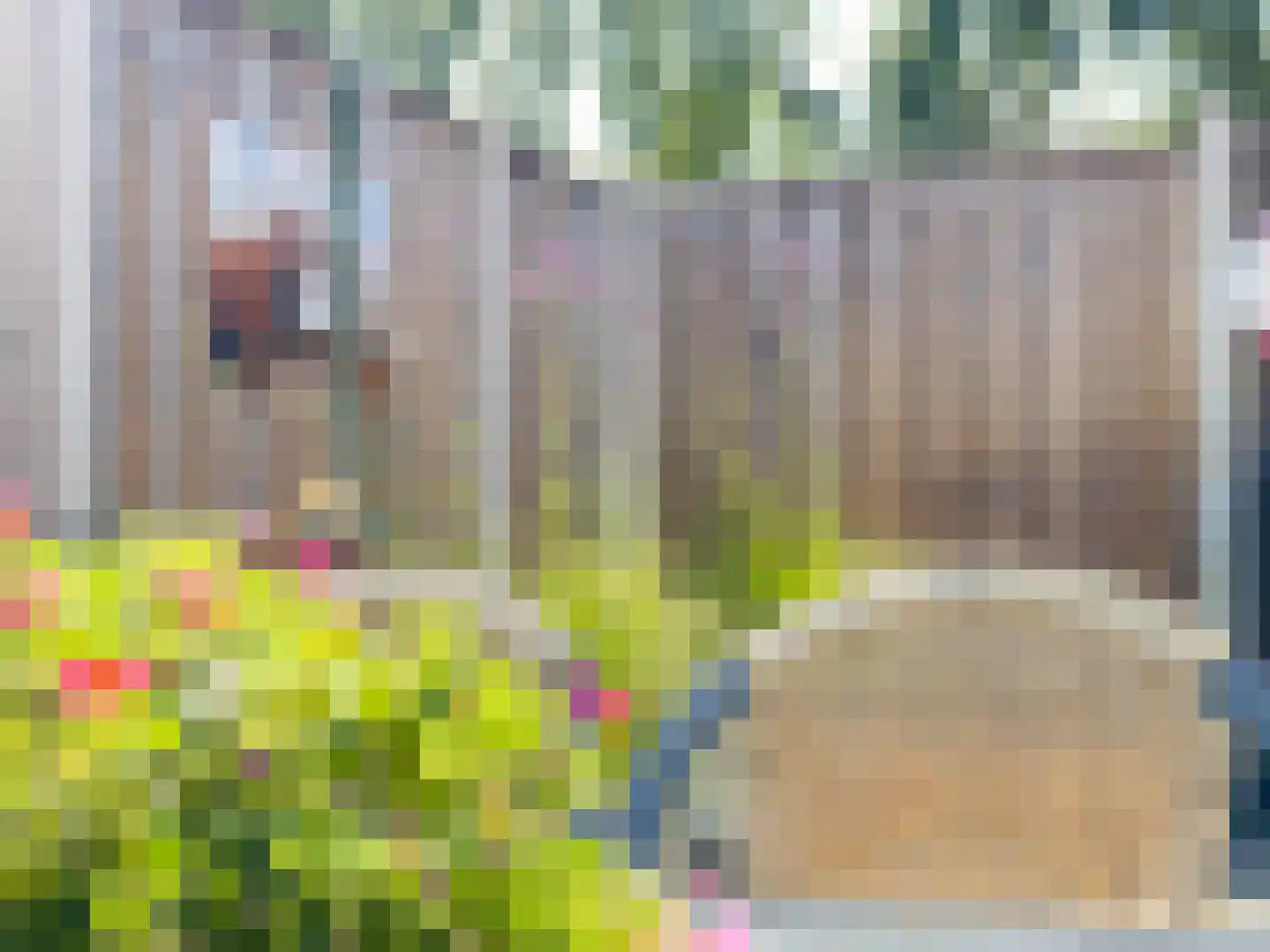 Prieelhof 11 Zundert thumbnail 27