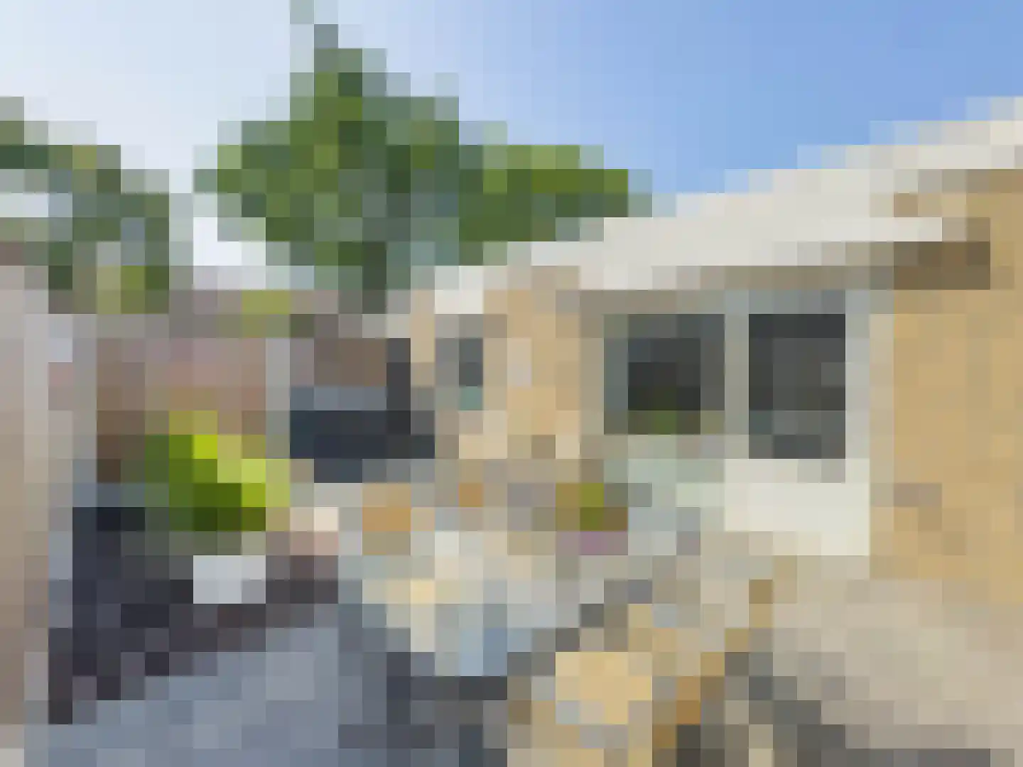 Prieelhof 11 Zundert thumbnail 28