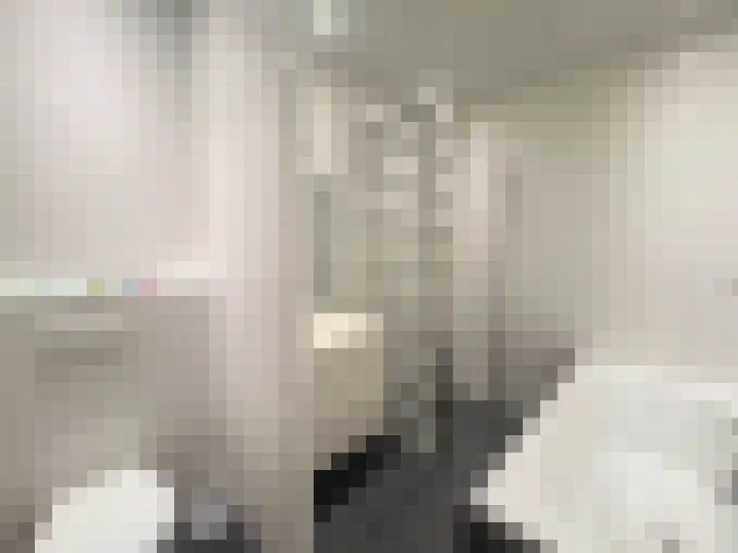 Prieelhof 11 Zundert thumbnail 4