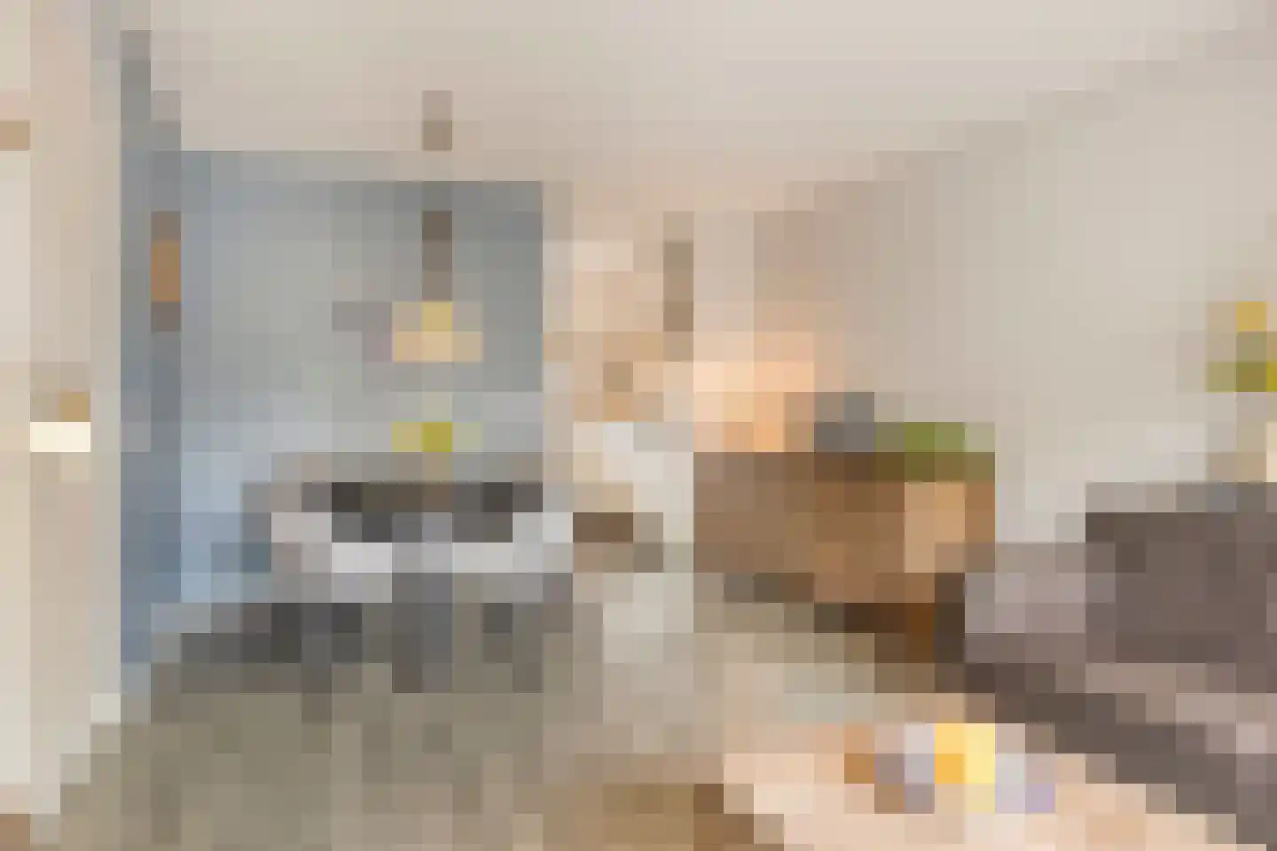 Prieelhof 2 Zundert thumbnail 13