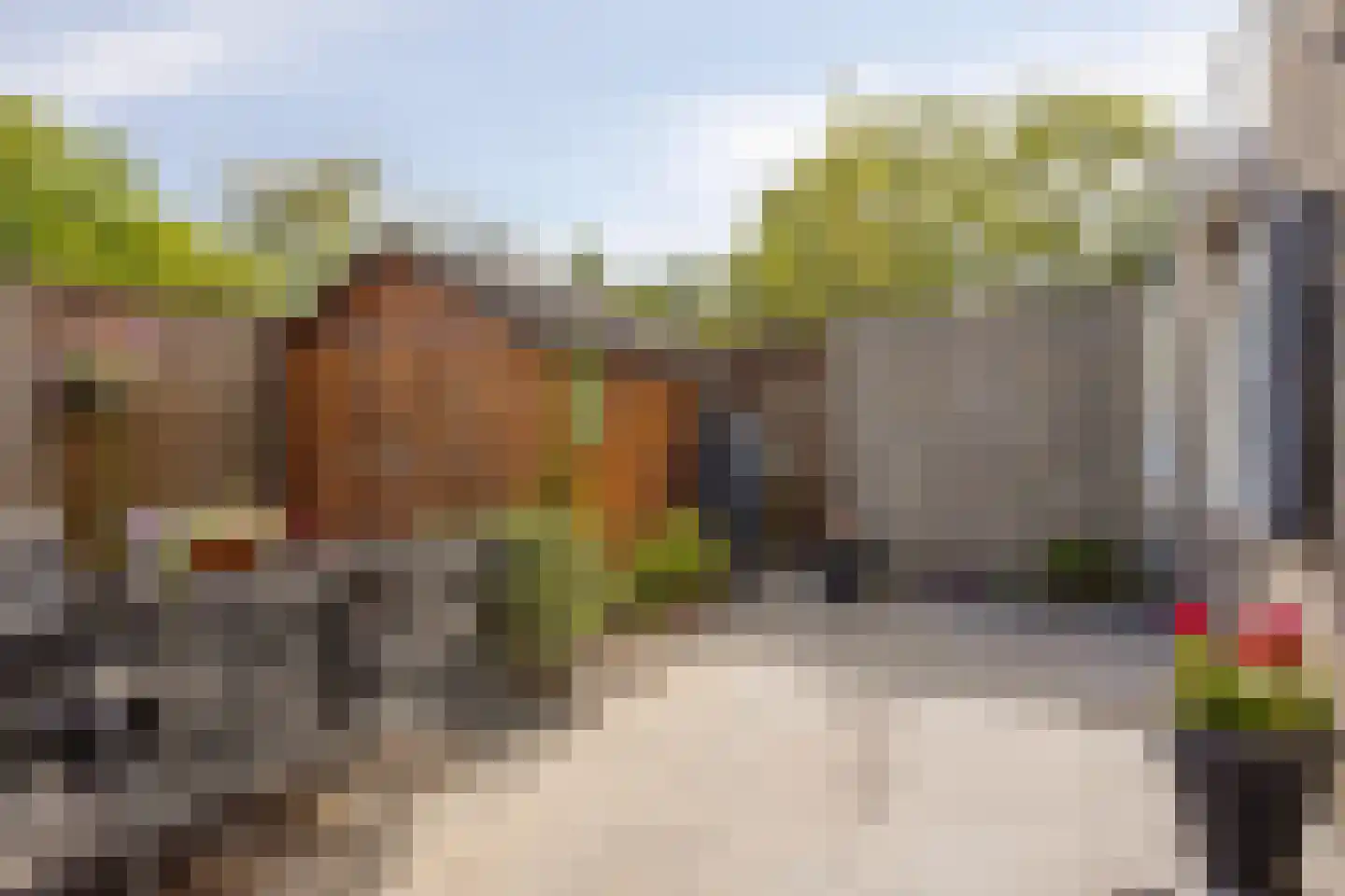 Prieelhof 2 Zundert thumbnail 5