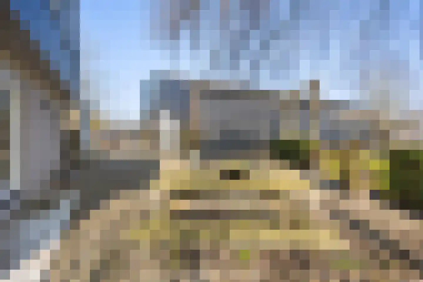 Prieelvogelweg 2 Almere thumbnail 31