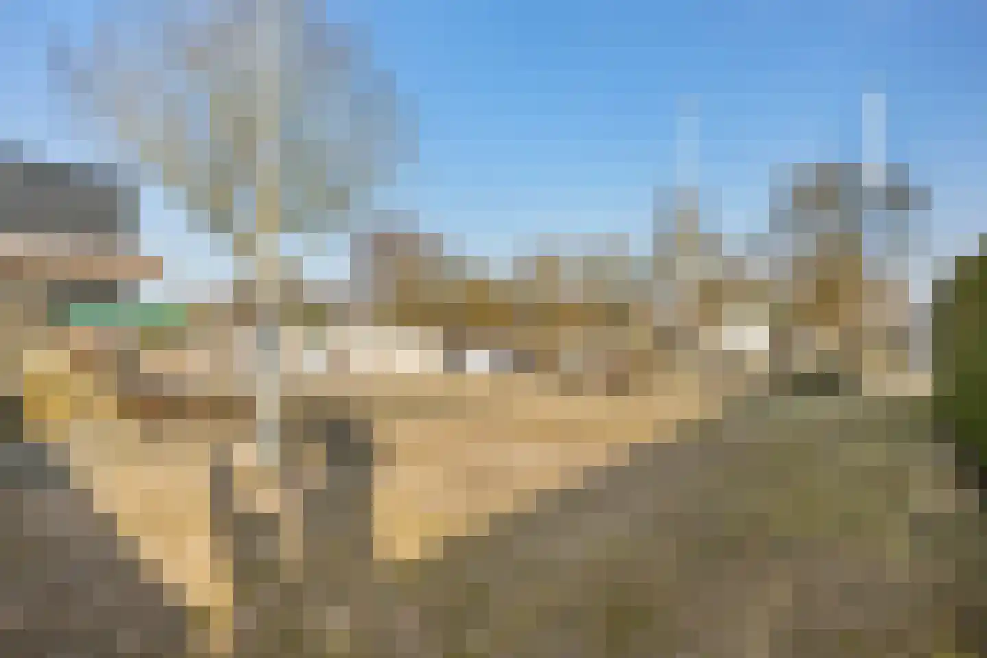 Prieelvogelweg 2 Almere thumbnail 39