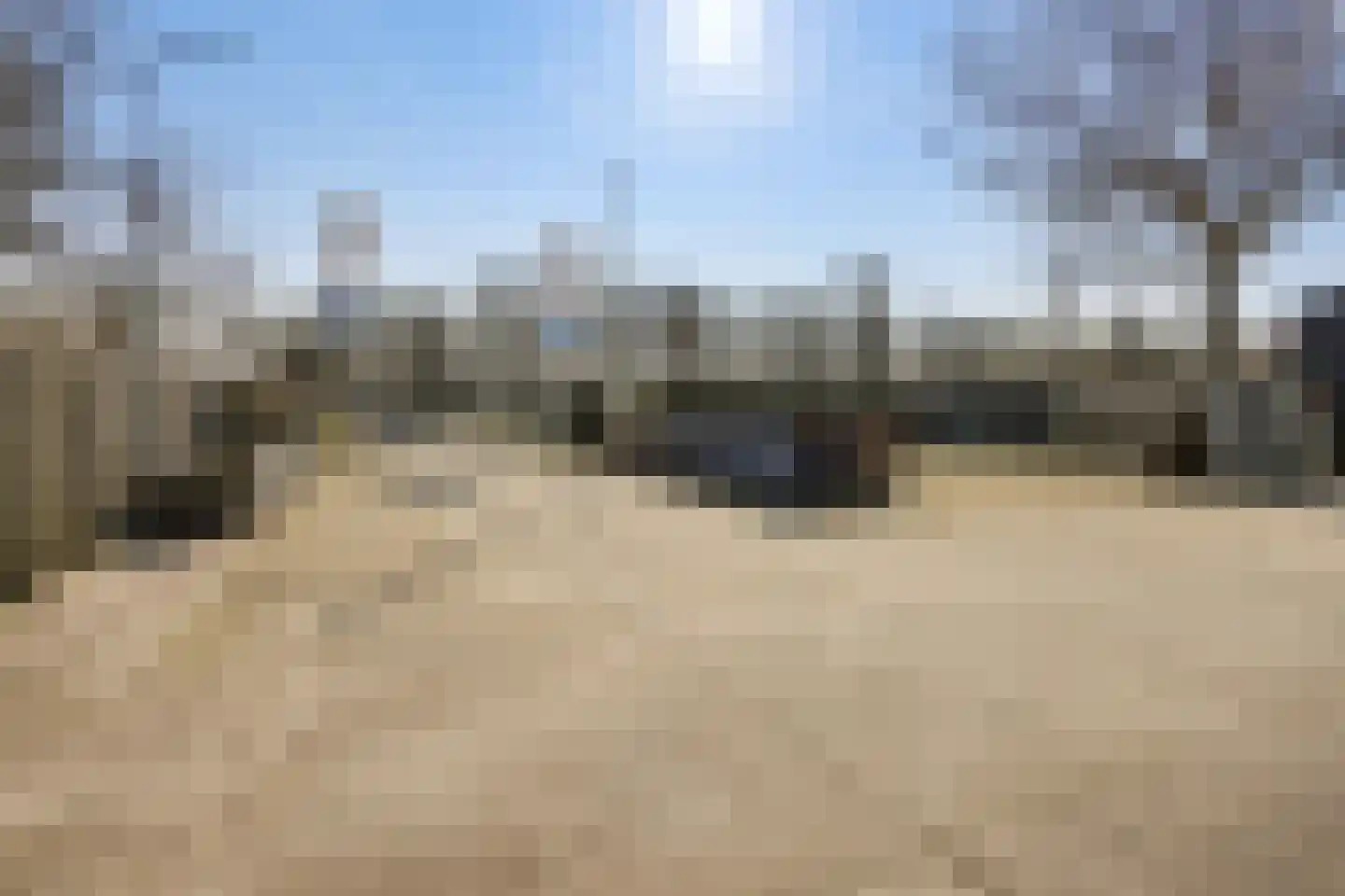 Prieelvogelweg 2 Almere thumbnail 40