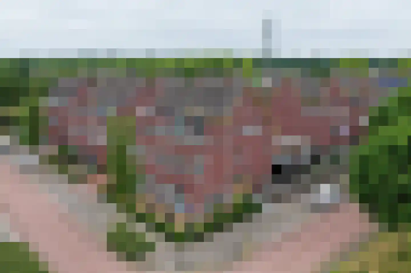Priemeind 2 Best
