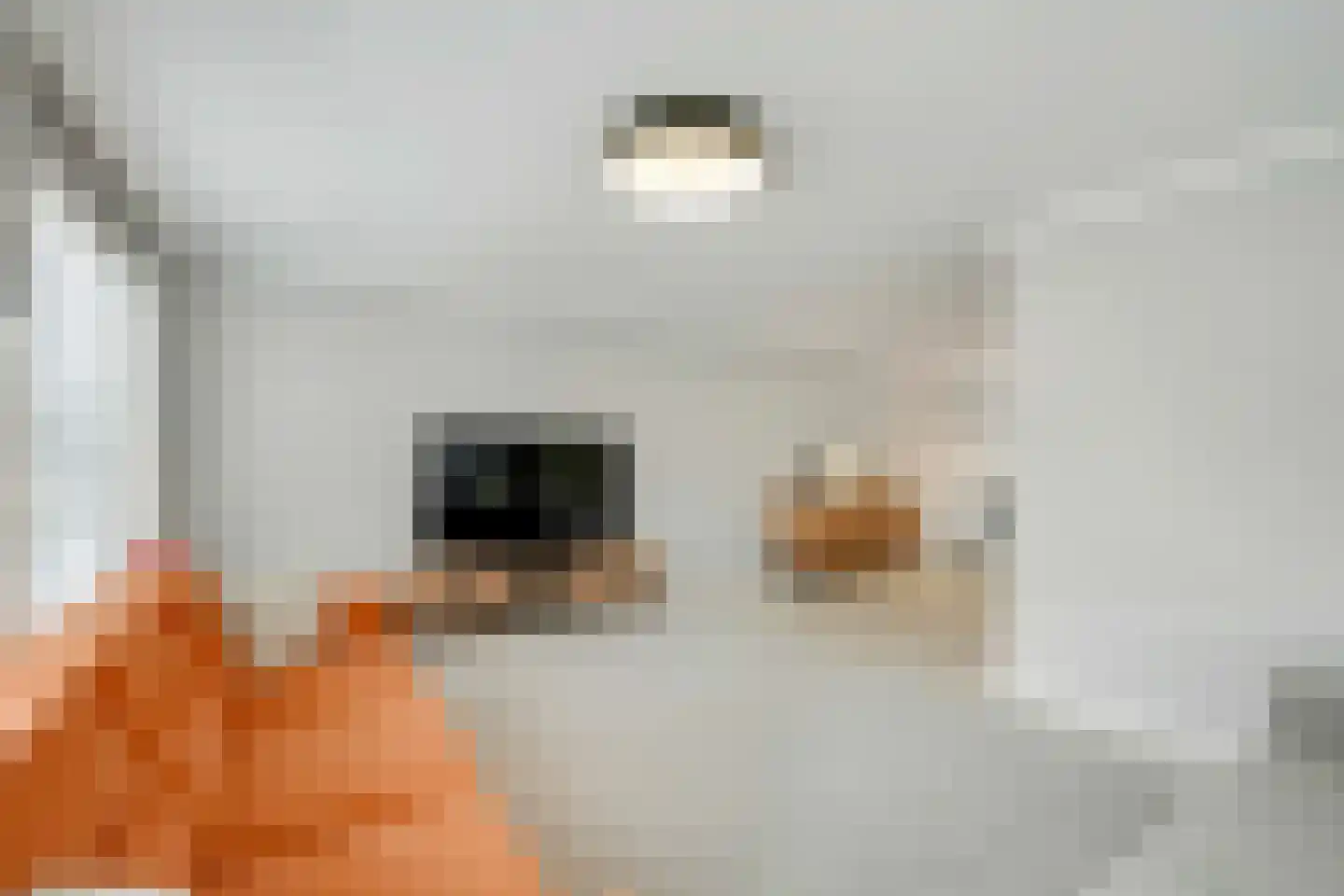 Priemeind 2 Best thumbnail 18