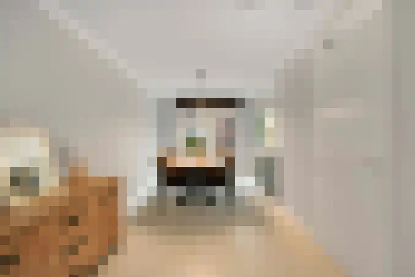 Priemeind 2 Best thumbnail 20