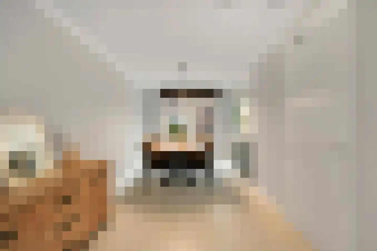 Priemeind 2 Best thumbnail 7