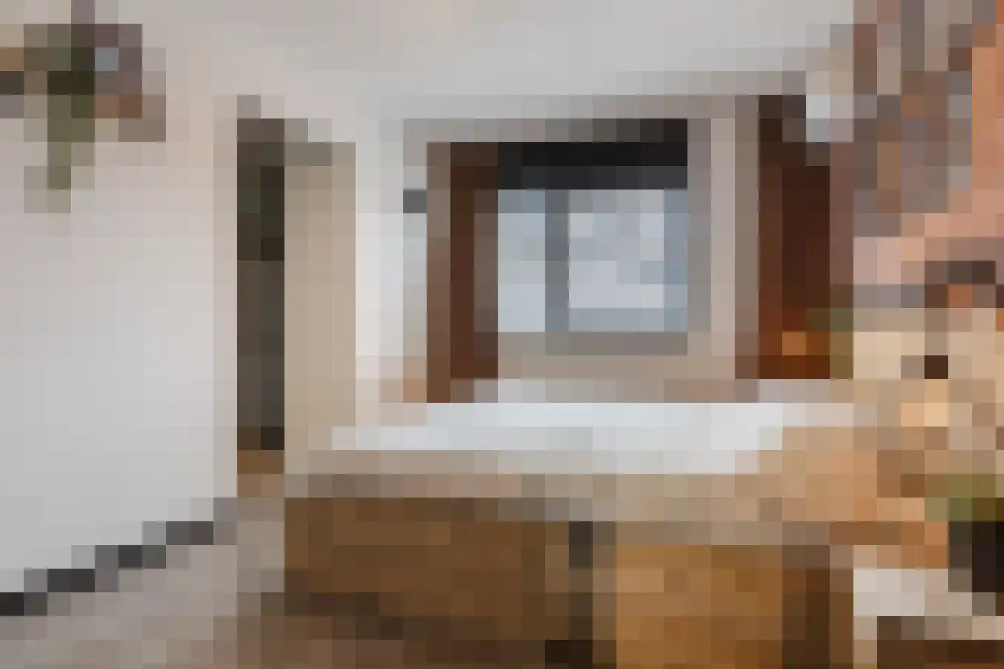 Priemkruid 1 Breda thumbnail 22