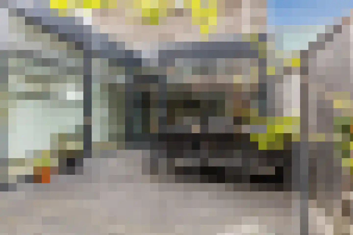 Priemkruid 1 Breda thumbnail 30