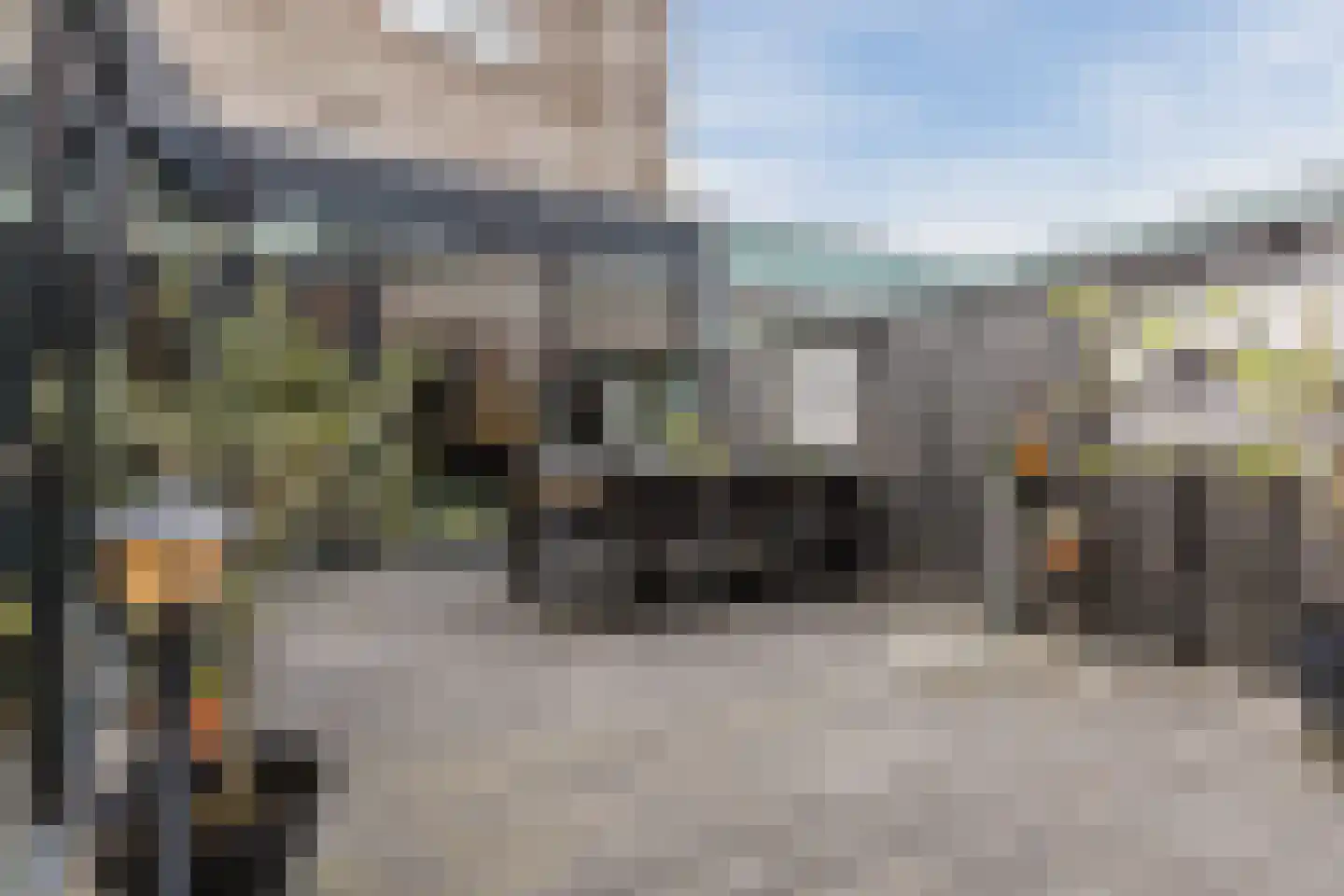 Priemkruid 1 Breda thumbnail 31