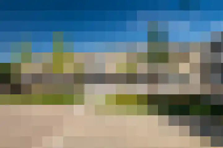 Priemkruid 1 Breda thumbnail 32