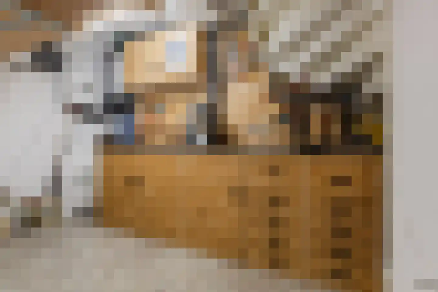Priemkruid 1 Breda thumbnail 33