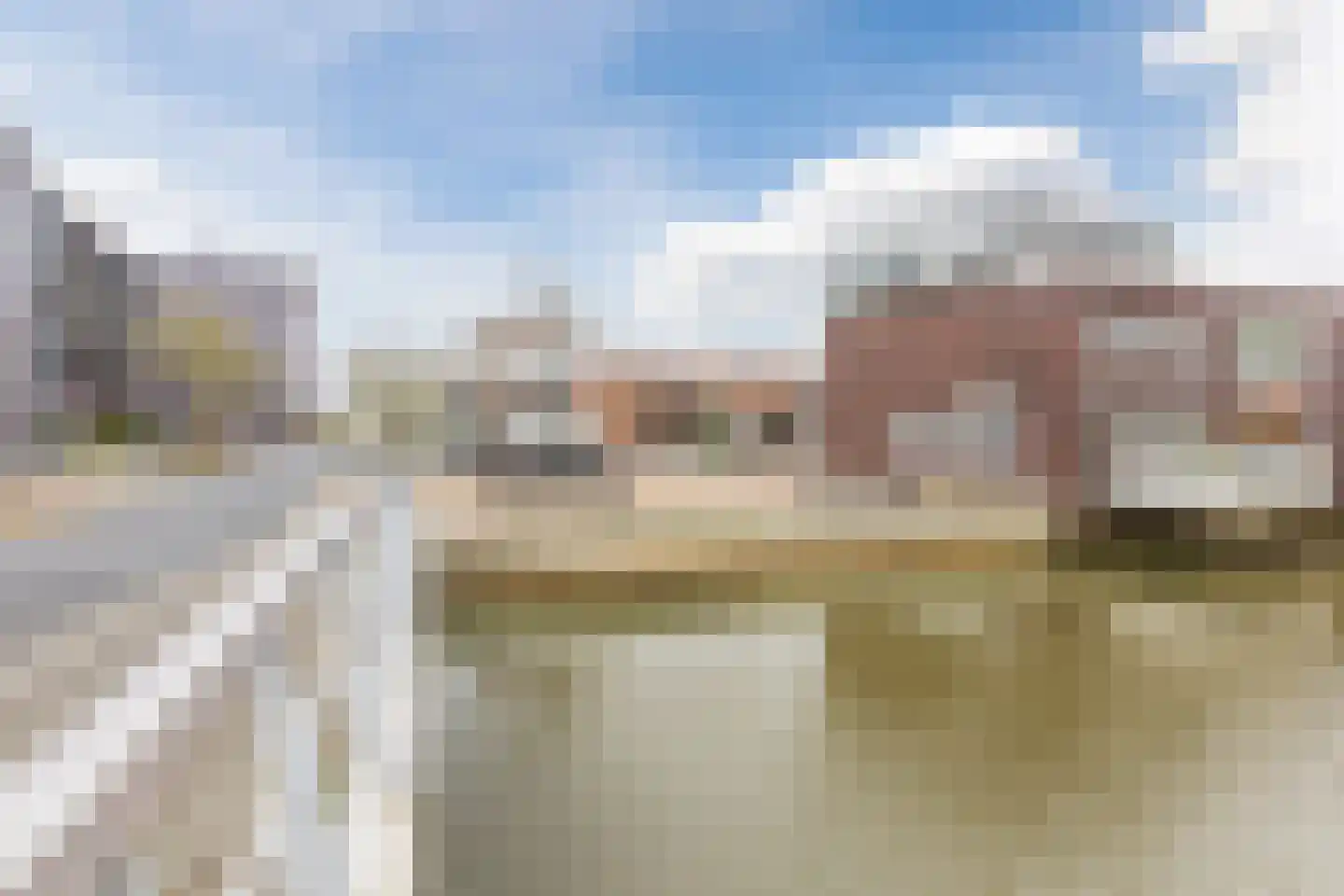 Priemkruid 1 Breda thumbnail 36