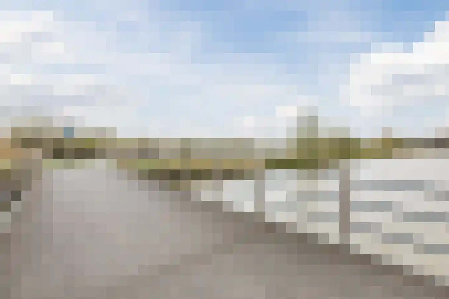 Priemkruid 1 Breda thumbnail 37