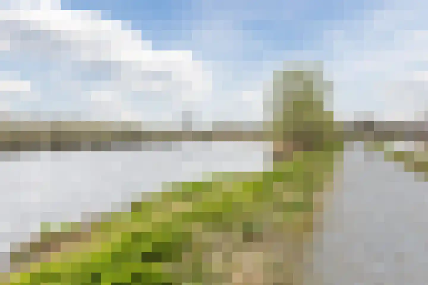 Priemkruid 1 Breda thumbnail 38