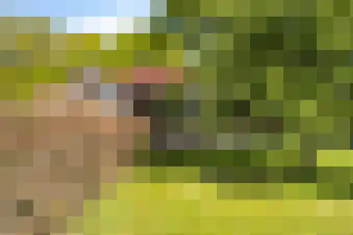 Priemkruid 1 Breda thumbnail 41
