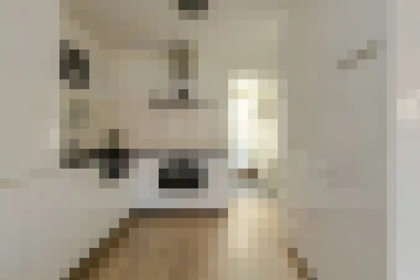 Priemkruid 10 Breda thumbnail 15