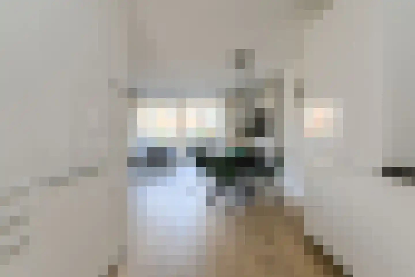 Priemkruid 10 Breda thumbnail 20
