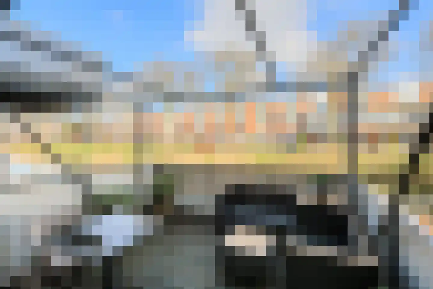 Priemkruid 10 Breda thumbnail 22