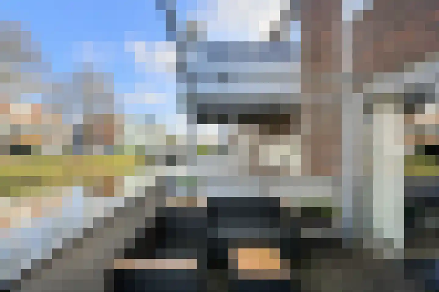 Priemkruid 10 Breda thumbnail 24
