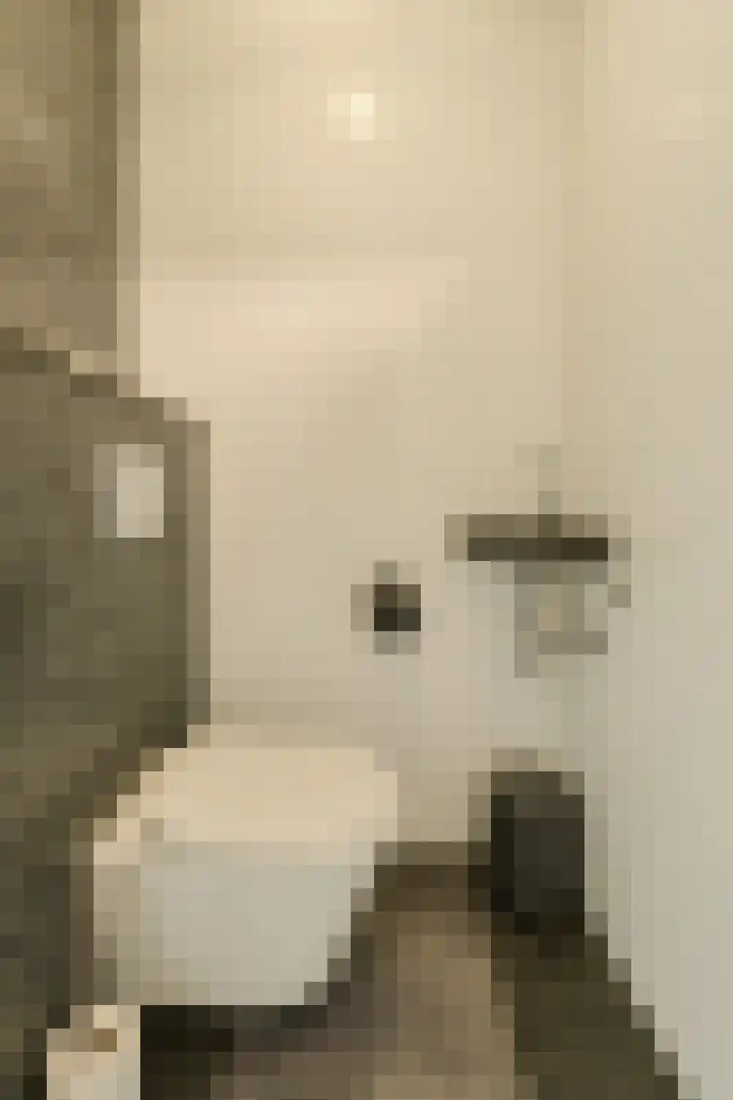 Priemkruid 10 Breda thumbnail 28