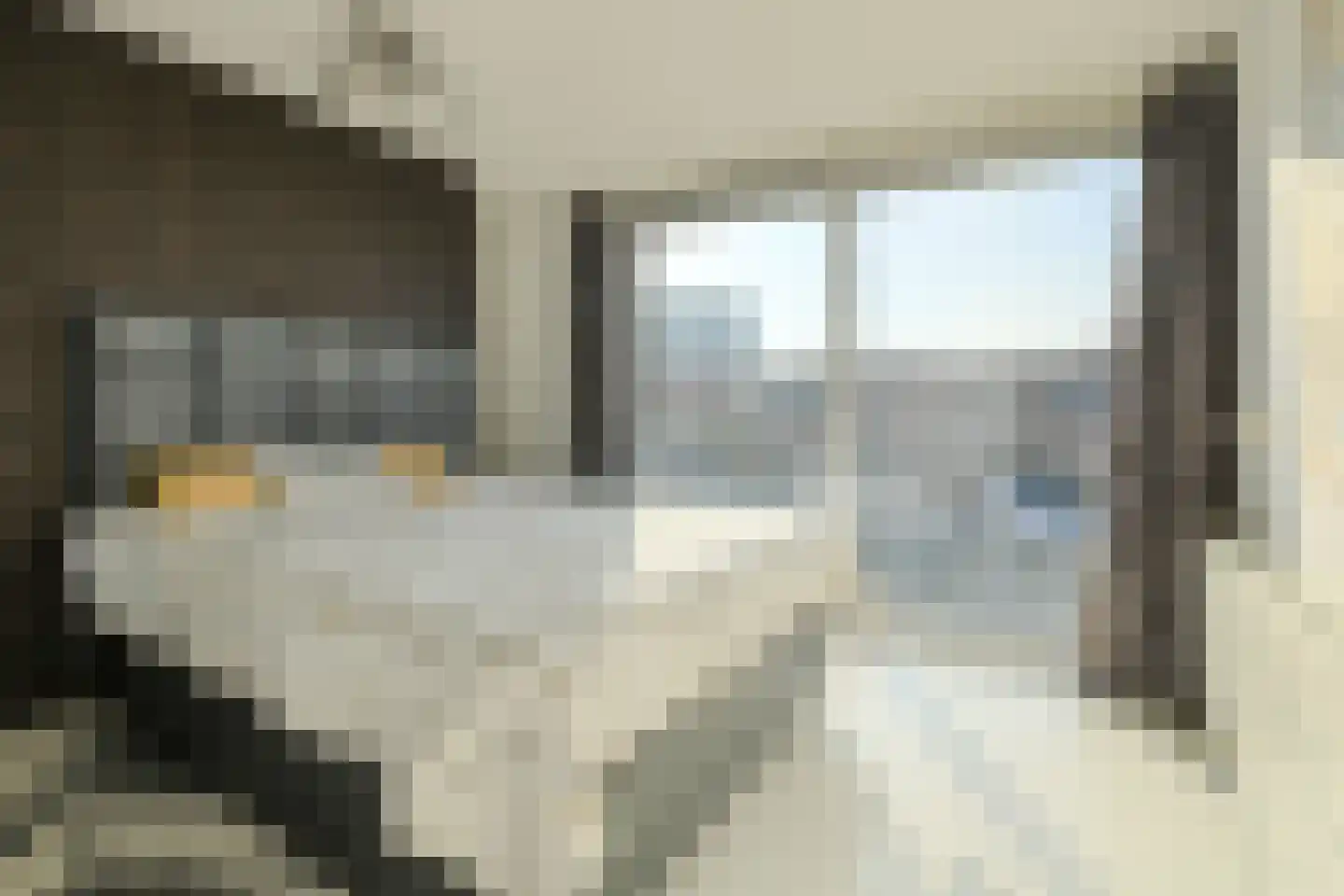 Priemkruid 10 Breda thumbnail 32