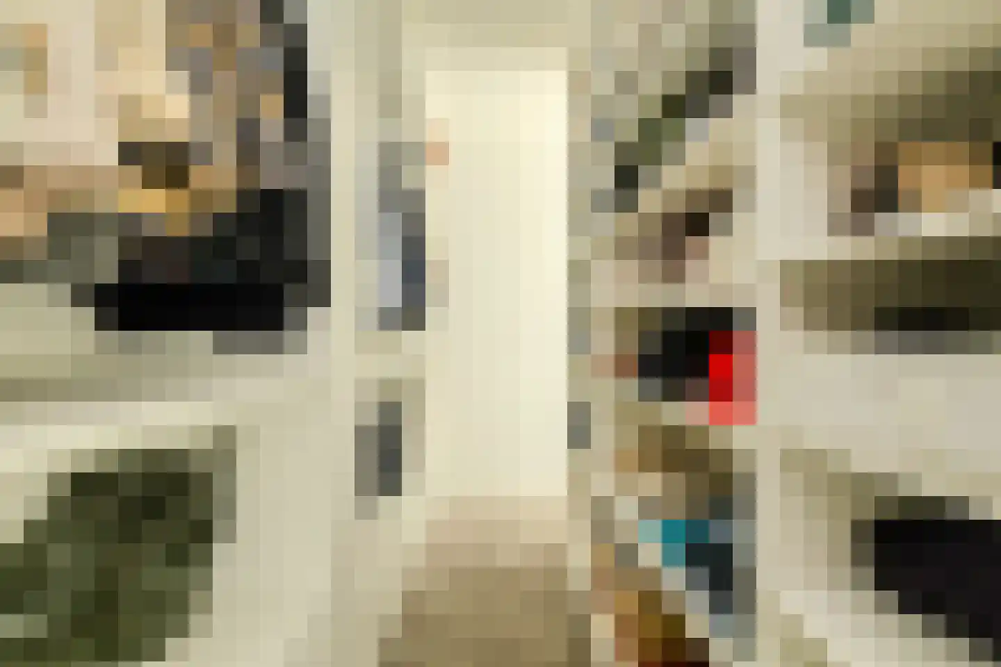 Priemkruid 10 Breda thumbnail 33