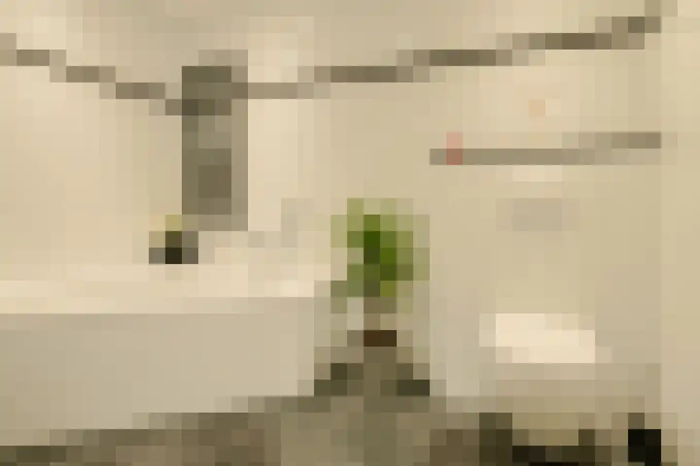 Priemkruid 10 Breda thumbnail 35