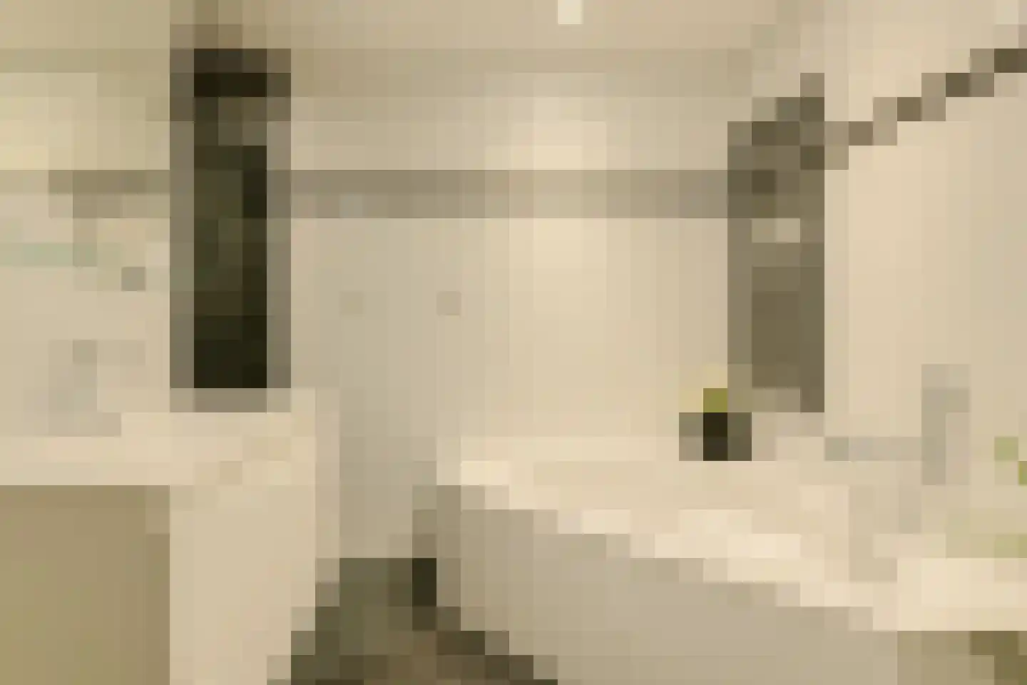 Priemkruid 10 Breda thumbnail 36