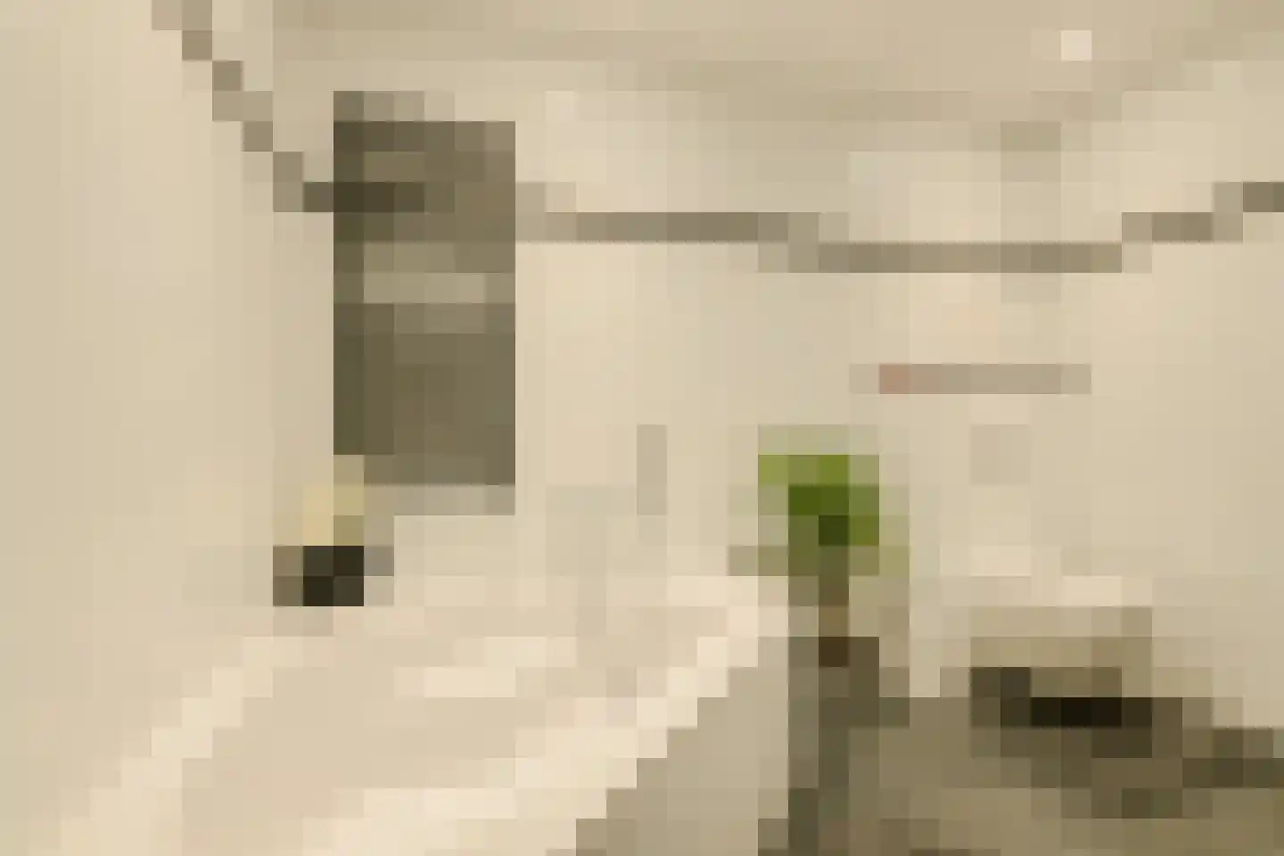 Priemkruid 10 Breda thumbnail 37