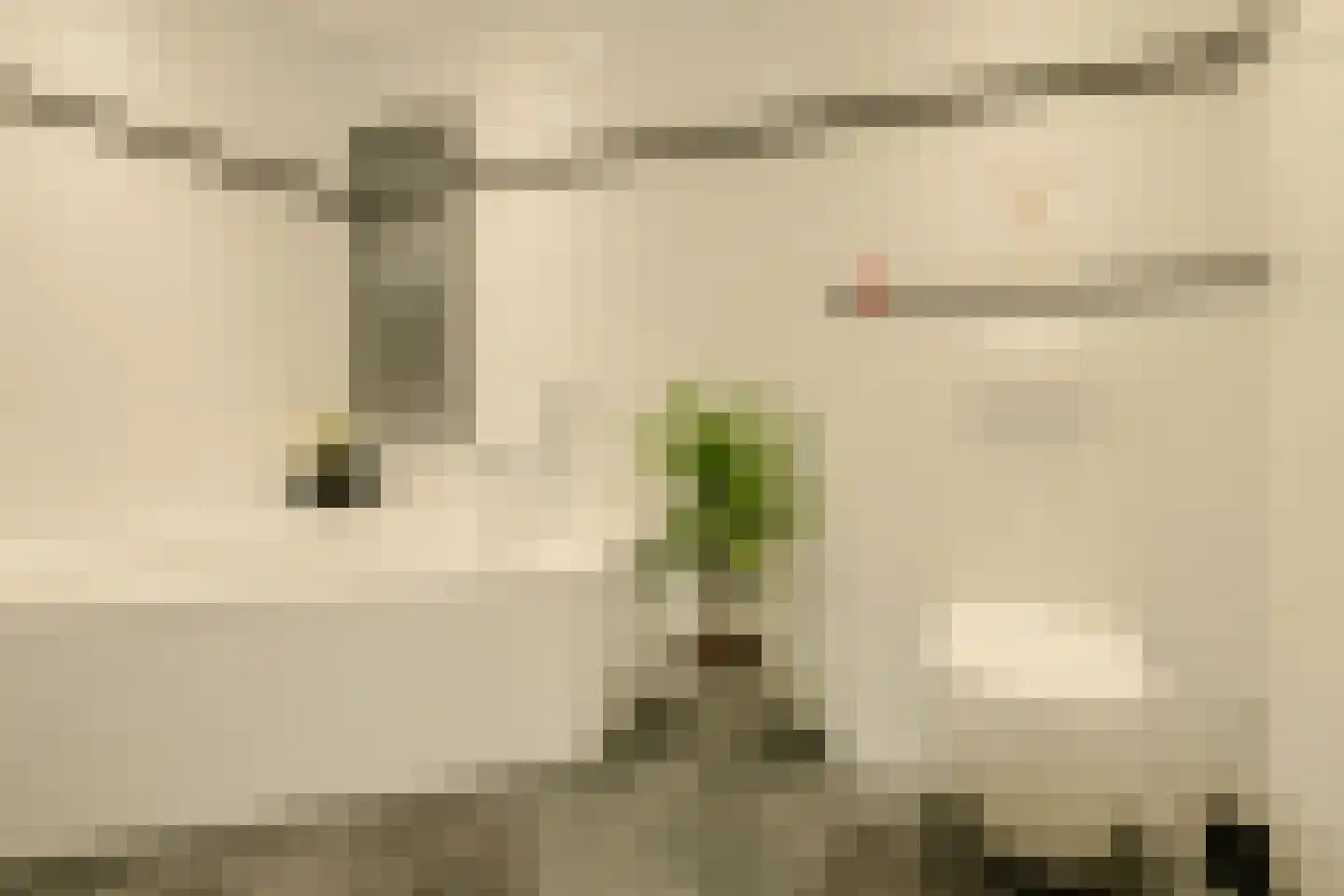 Priemkruid 10 Breda thumbnail 4