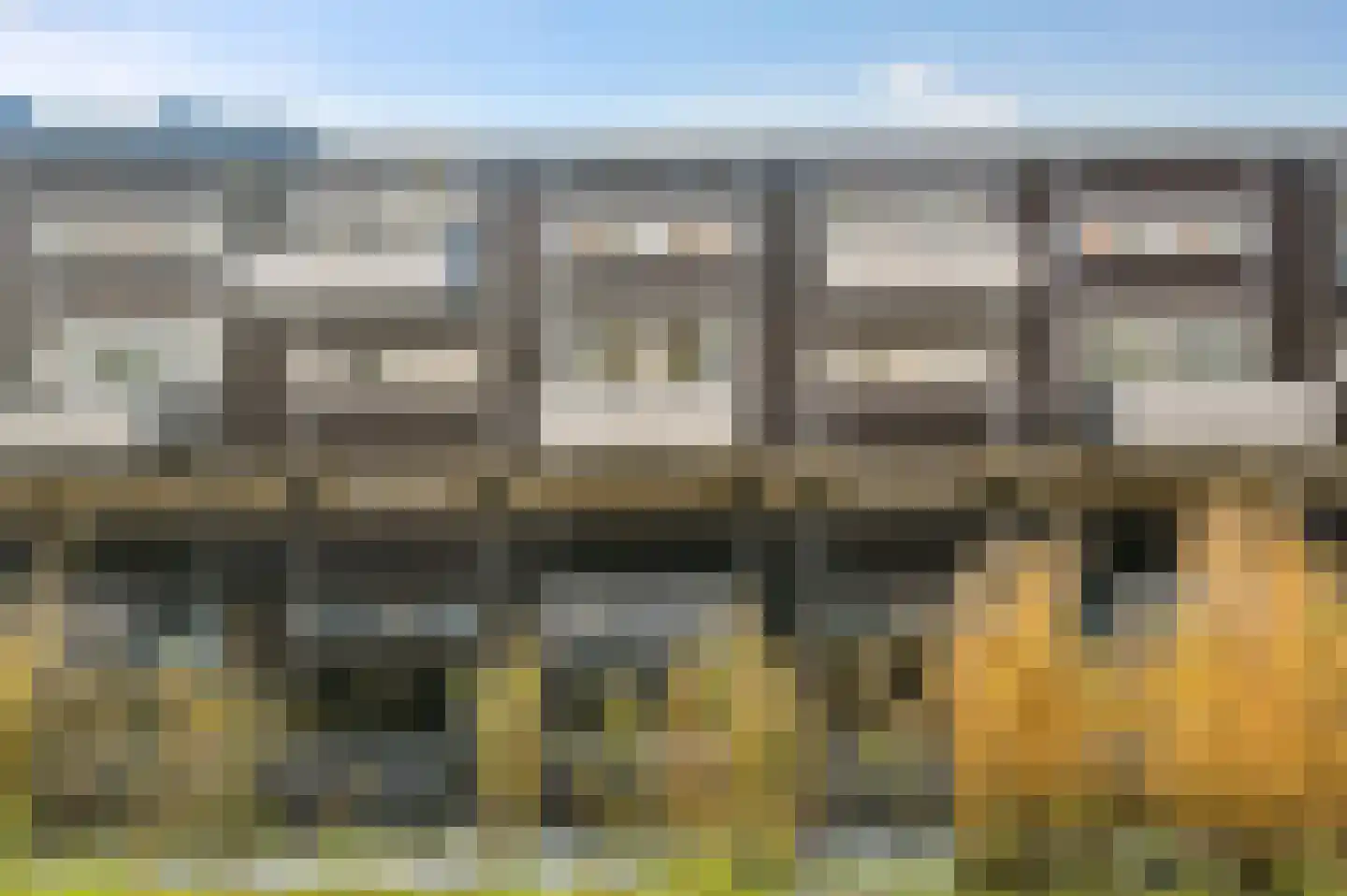 Priemkruid 10 Breda thumbnail 46