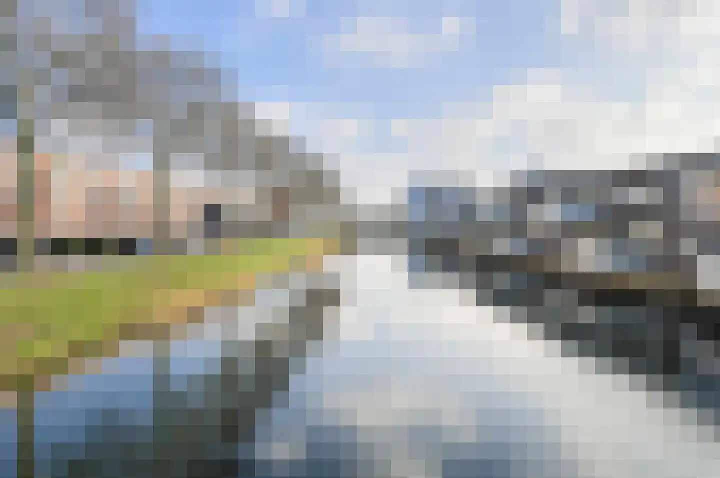 Priemkruid 10 Breda thumbnail 47
