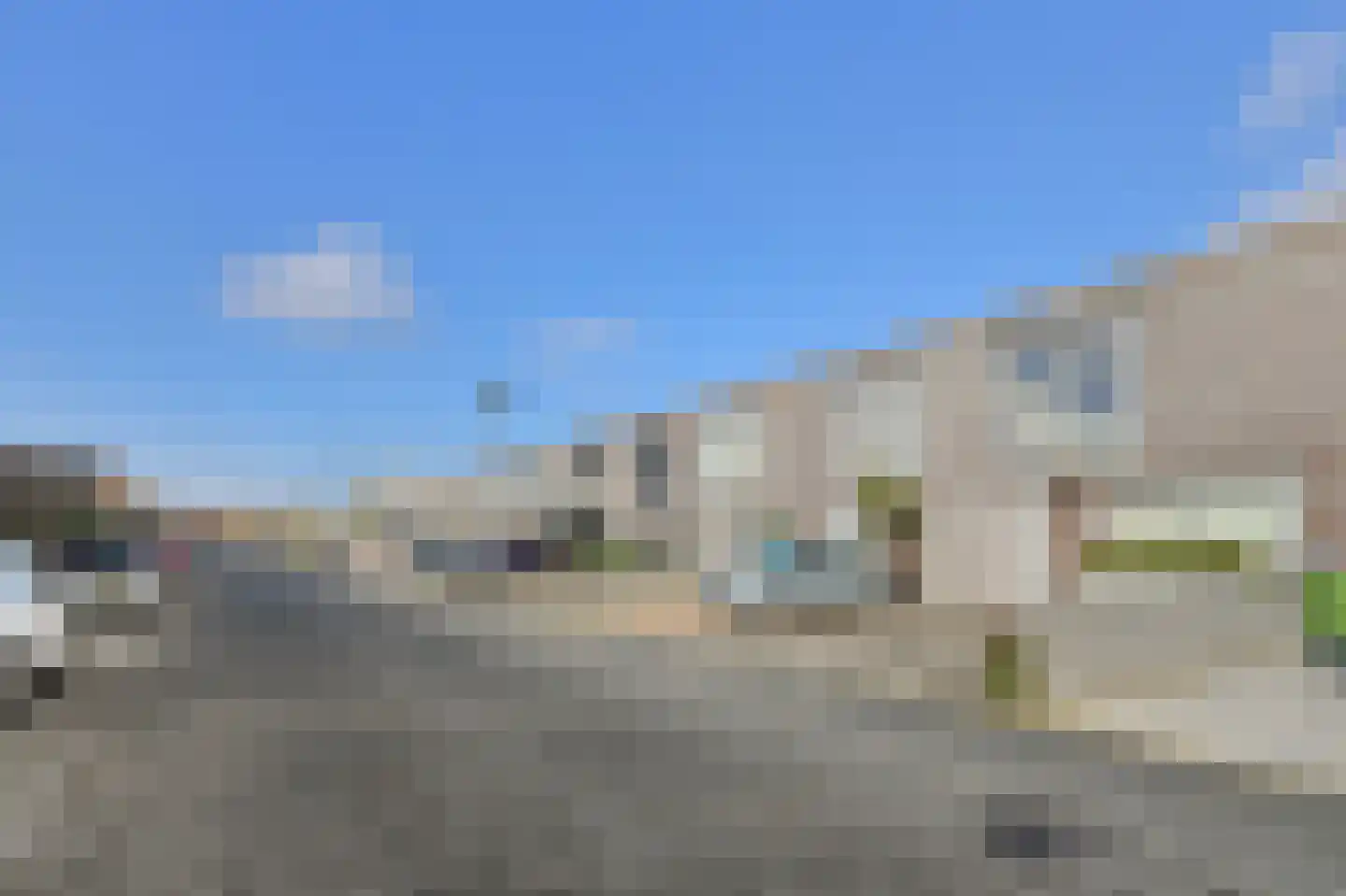 Priemkruid 10 Breda thumbnail 7