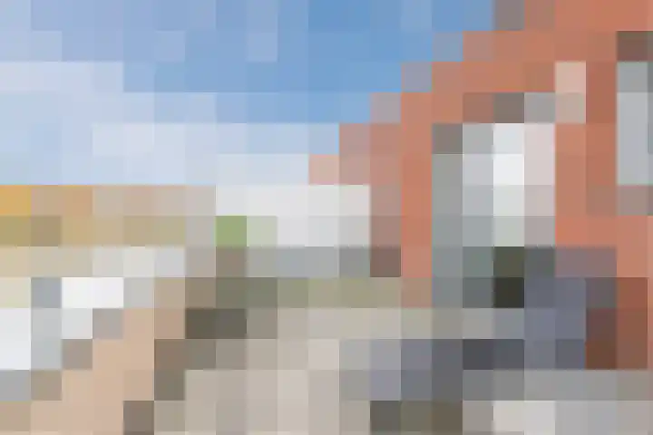 Priemkruid 100 Breda thumbnail 25