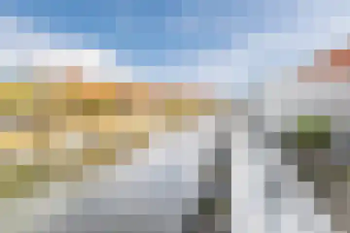 Priemkruid 100 Breda thumbnail 27