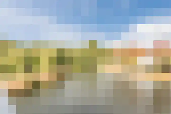 Priemkruid 100 Breda thumbnail 28