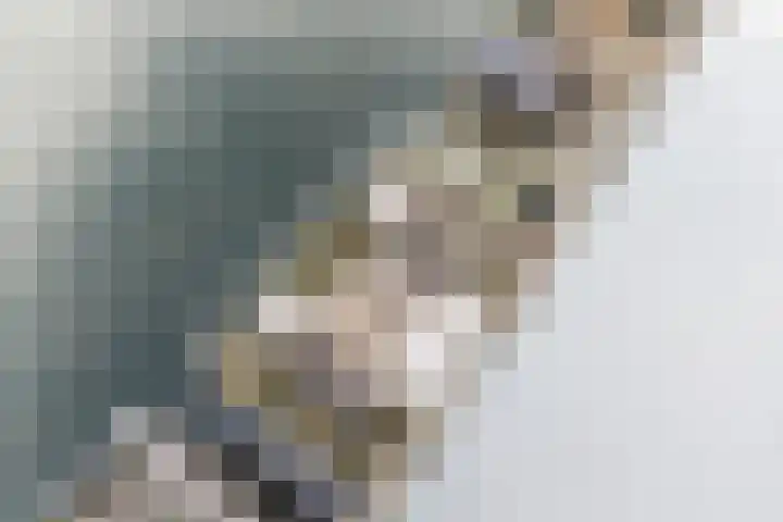 Priemkruid 100 Breda thumbnail 29